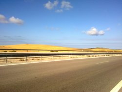 campi_di_girasoli_tra_vejer_e_cadiz.jpg